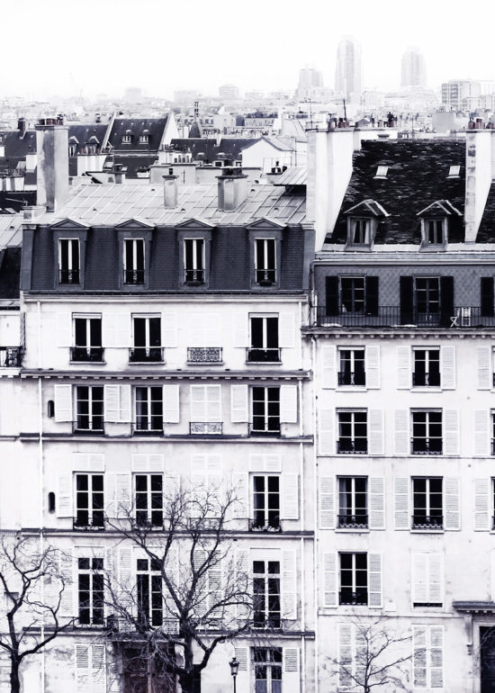 Paris-Rooftop-Quais