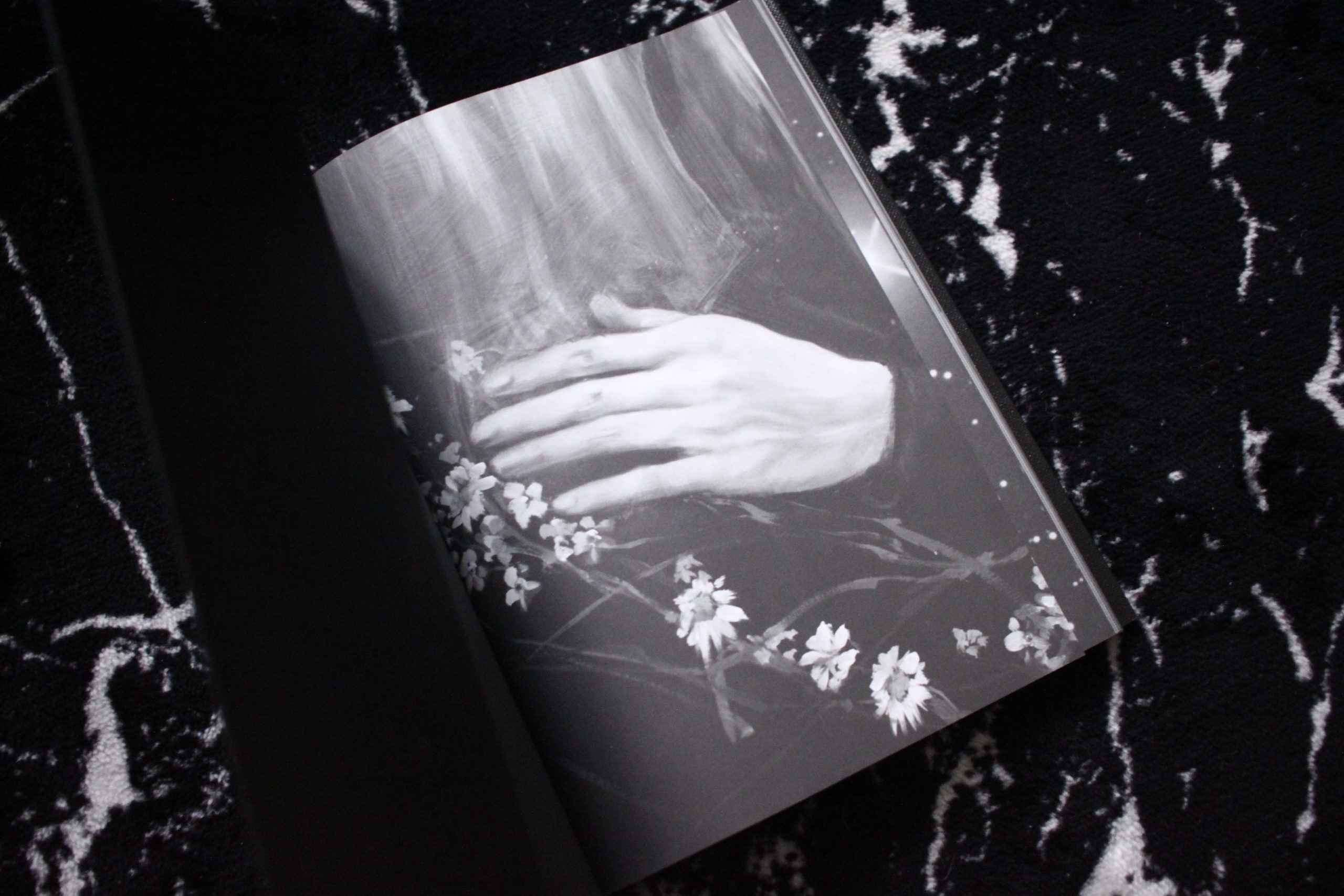 Saint Laurent illustration black white book