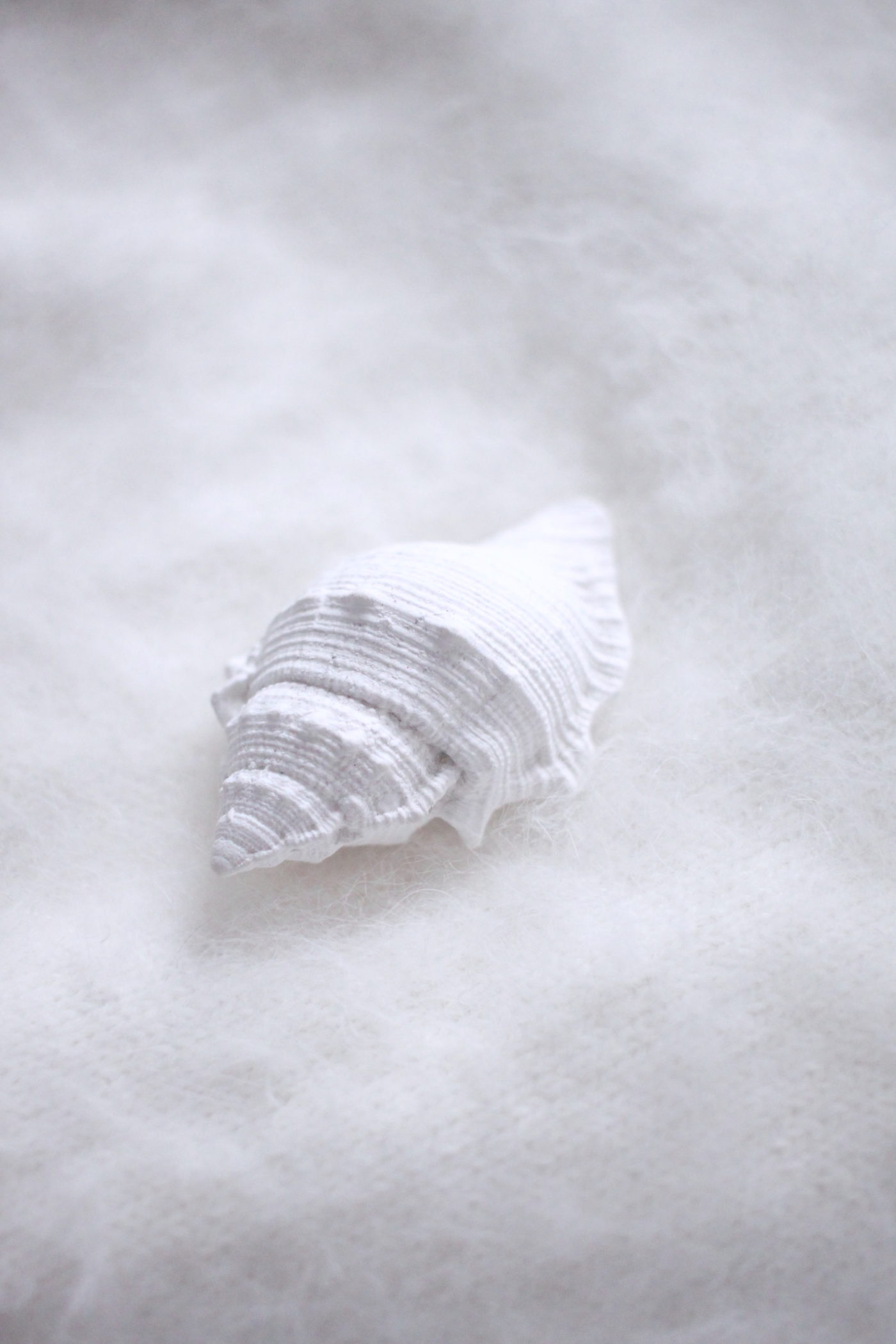 White shell perfume