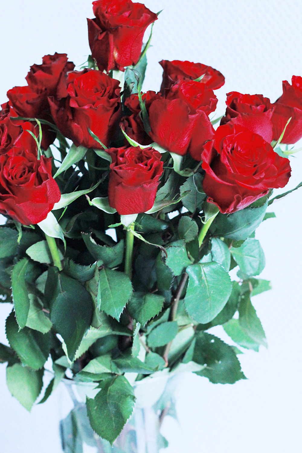 Roses-Rouges-dans-un-vase-transparent