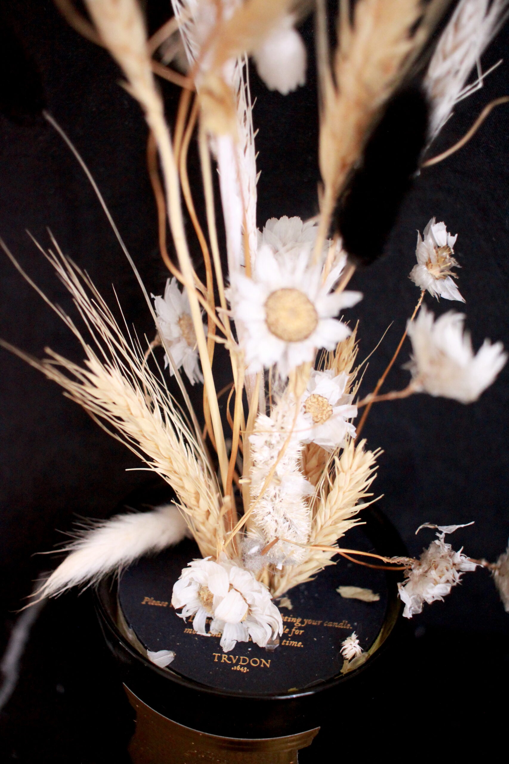 Golden dried flowers close-up