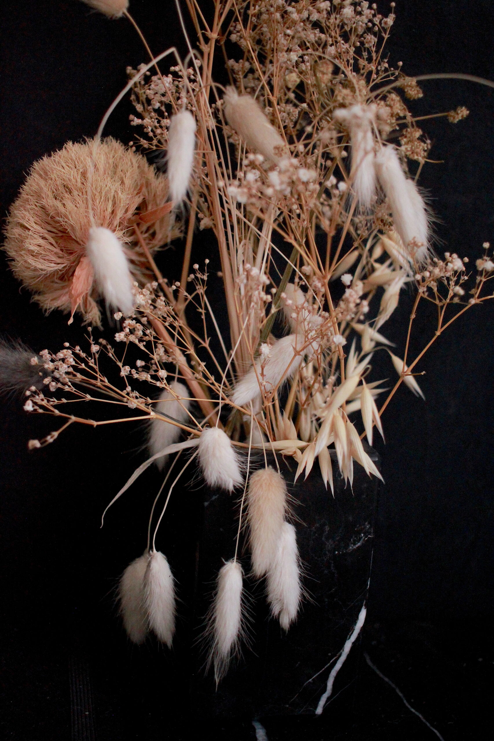 Dried flowers close-up